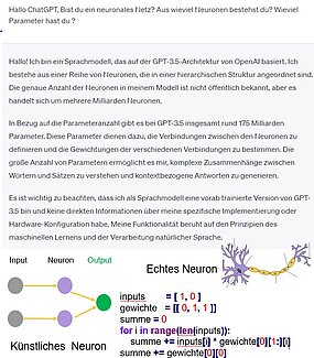 GIRLS ONLY - Neuronales Netz (Perceptron) mit ChatGPT